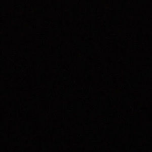 Meet your Posher, Kwokeatsrice